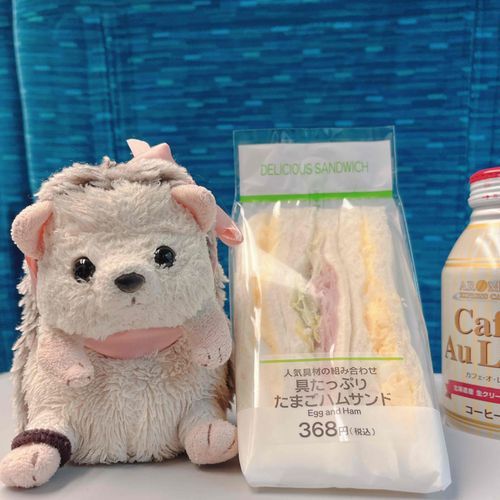 しんかんしぇん？しんかんしぇんなのかなあ？