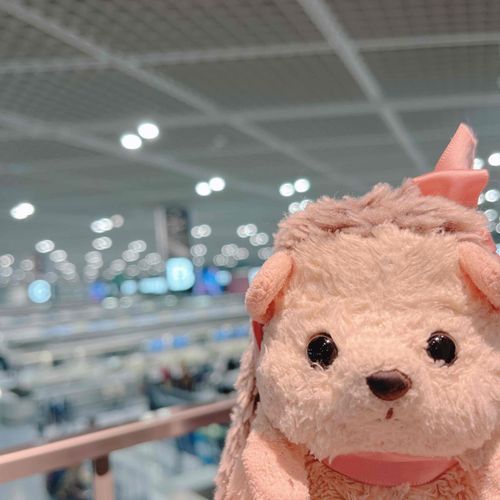 ねえねが ひこうきにのうので じょんちゃんも ないたっていうとこおに ついてきたじょん。