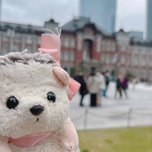 🦔とーきょーえき、、しゃちこしゃんと きたかったじょん、、
(🦘はぁ～いつか一緒に行きましょうね！じょんさん！byお留守番さちこ)