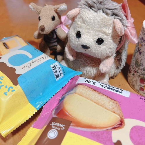 🦔まましゃんが ふぁみまっていうおみせで ぷいんのおやつかってきたじょん。
🦘はぁ～じょんさん、LINEクーポン使えてママさんご満悦みたいですよ～