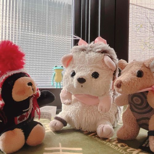 🦔 ねえねが くよい くましゃんを つえてきたじょん。
🦘 はぁ～じょんさん、お仲間が増えてうれしいですね～(^^)