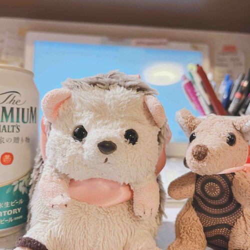 🦔 ふわもこ？ ふわもこなの？！
🦘 はぁ～ わたしたち、最近ちょっと低浮上なんですけど、元気でやってますよ～