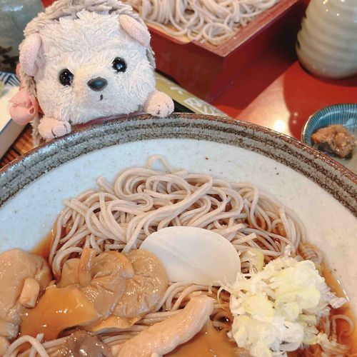 きのこのおしょばは あんまばえないじょん(´･･`)