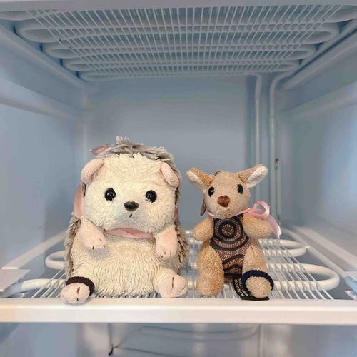 🦔 かやっぽ？かやっぽだじょん?!
🦘 はぁ～じょんさん、ままさんが100万年ぶりに霜取りしたんですよ～途中タイタニックの船内みたいになってましたね～💦