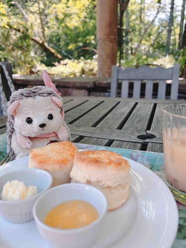 🦔じょんちゃんねー、ひよいおにわで ちーたいむ したんだじょん！
🦘はぁ〜じょんさん！よかったですね〜次はわたしもご一緒しますね〜！