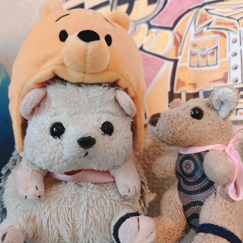 🦔くまのかぶいもの もやったんだじょん♪
🦘はぁ〜じょんさん！よく似合ってますよ〜♡