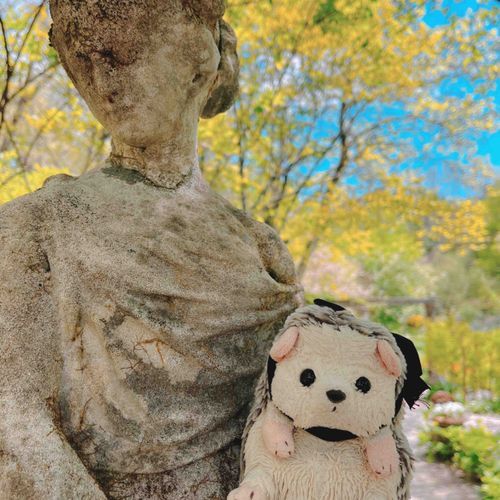 🦔おねえしゃんと おしゃしんぱちい⭐︎だじょん！
🦘はぁ〜じょんさん！私も一緒に写りたかったですよぉ〜！