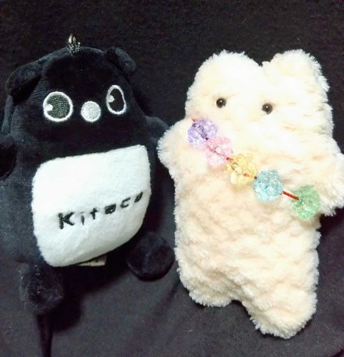 TRICK or TREAT 的な感じで、お家にKitacaのエゾモモンガちゃんがやってきた（かわいい）