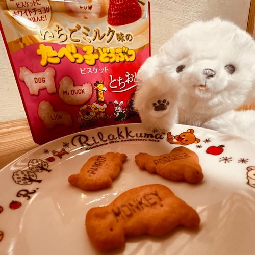 おやつのたべっ子どうぶつ!
これ美味しかった!!