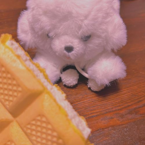 モナ王!いただきます!!