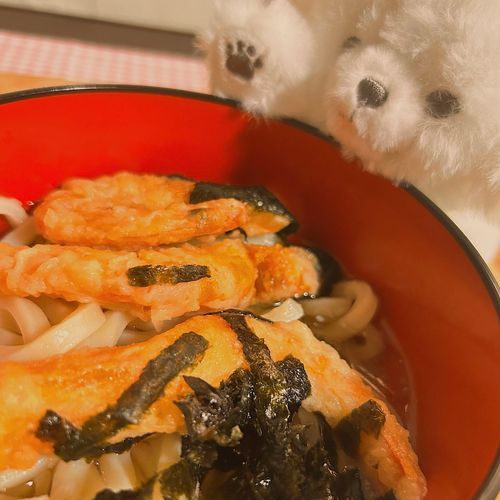 昼ごはんいただきみゃす!