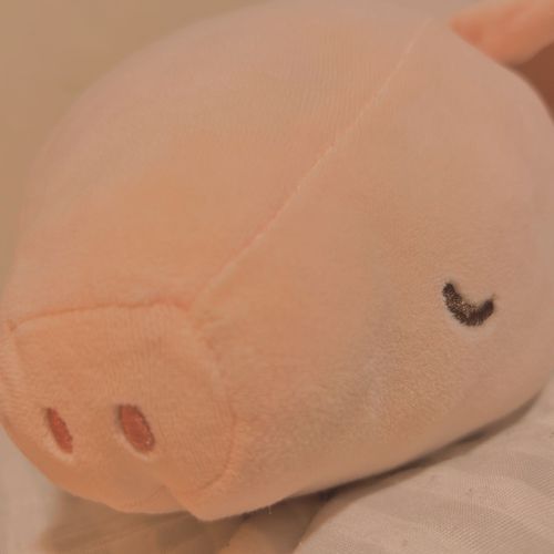 辛い時によく抱っこしてるぶたさん。
よくもぎゅもぎゅされてます...
君がいるからがんばれる❗️❗️✊🏻