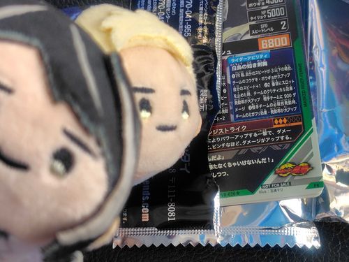 「あっ…もしかしてこれって……もしかしちゃう〜………？」

「わからない人向けに補足をしておくと、低確率でイラストの違うカードが出るぞ。…引き当てたようだな」