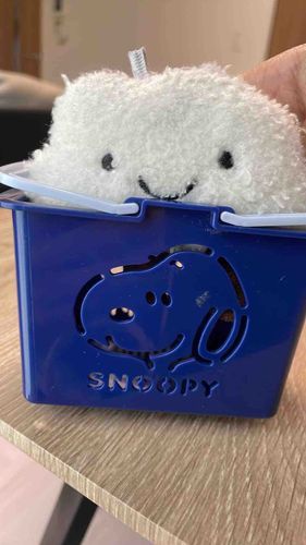 ぬーぬーとお買い物いこうね☺️
