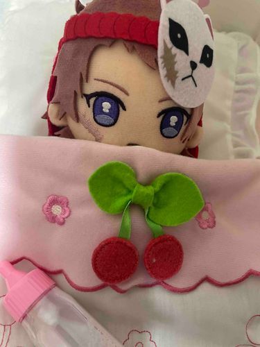 お家にさびとのぬいぐるみが届いて最近のお気に入りです♡
いつもだっこしてねんねしてます😌このベッドはなんとマザーガーデン様のベッドです♡
かわいらしいです。