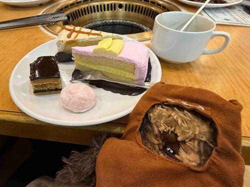 からふるな　けーきとか　あいすくりーむとか　あって　なやんじゃった。