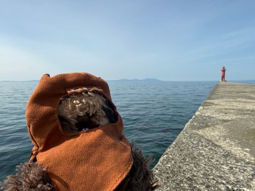 このまえ　はじめて　ひとりで　つりに　いってきたよ。
すっごく　はれてた！
もう　なつなのかな？　ってくらい　あつかったよ。