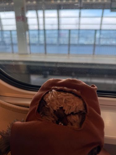 このまえ　とおいまちに　おでかけ　してきたよ。
しんかんせん　ていうのに　のったら　すぐ　とおくまで　いけるんだ。