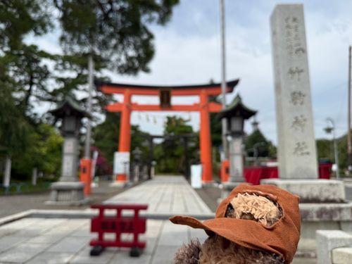 せみが　たくさん　ないてた。