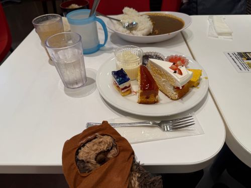 おおきい　まちは　たくさん　おみせが　あるから　ちょっと　つかれちゃうね。
ばんごはんと　おやつを　たべて　きゅうけいしたよ。
ねっちゅうしょう　っていう　びょうきが　あるから　きをつけないとね。