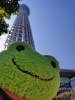 しんあるがえる