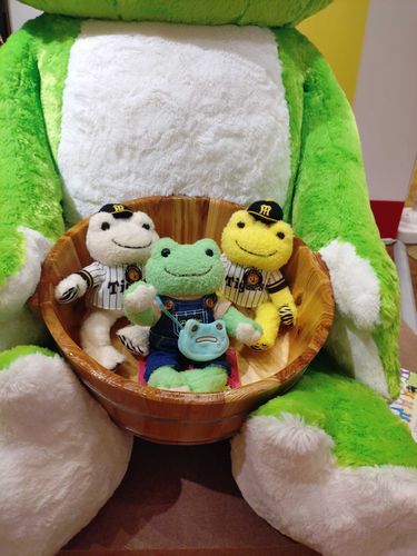 スカウト完了！
