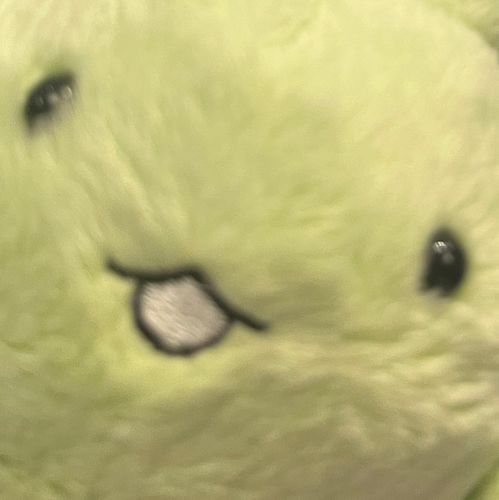 ふきゅ！