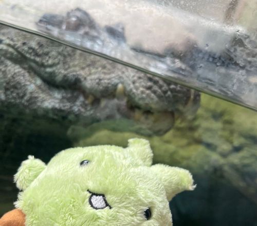 ふ、…ふきゅ……(恐怖)