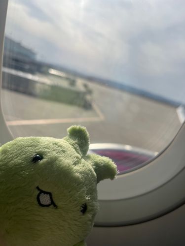ふきゅ✈️