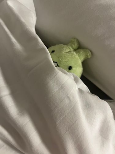 きゅ💤