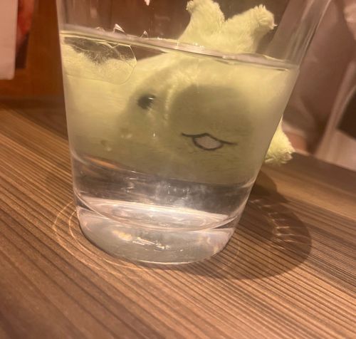 きゅ～～～～～～～(伸)