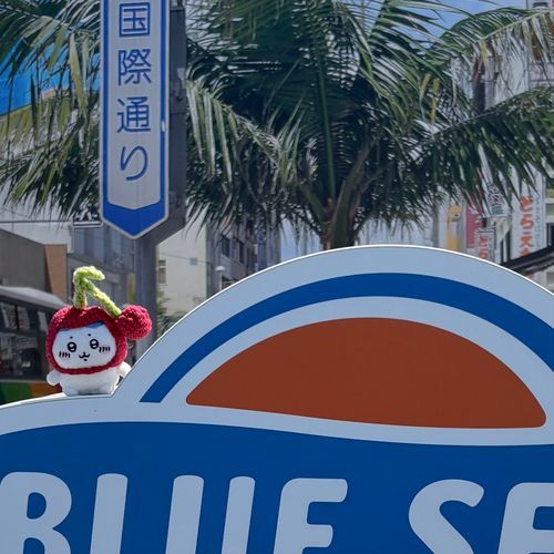 ハリボテ、、、ってコト！？