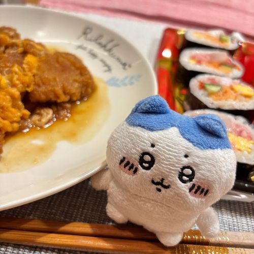 カツ丼の上だけ❕