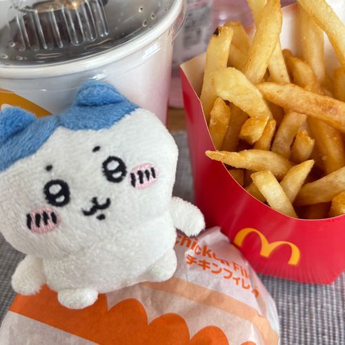 チキンフィレオだ〜いすき🍔