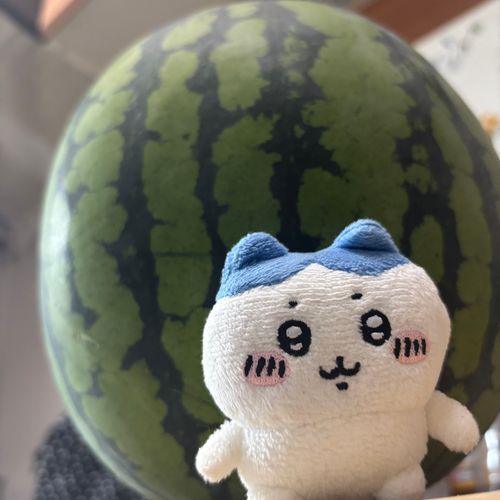 巨、スイカ
貰っちゃったッ🍉