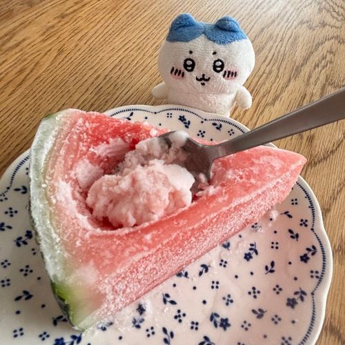 やりたかったんだッ
スイカ牛乳アイスッ🍉🍨