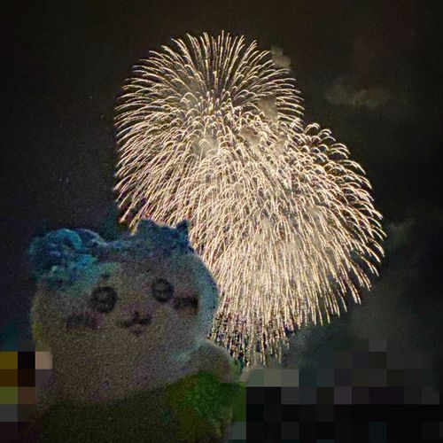 逆光で画質悪くなっちゃったッ❕
たまや〜〜🎇