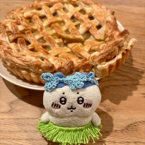 焼いたんだッ❕アップルパイッ🍏