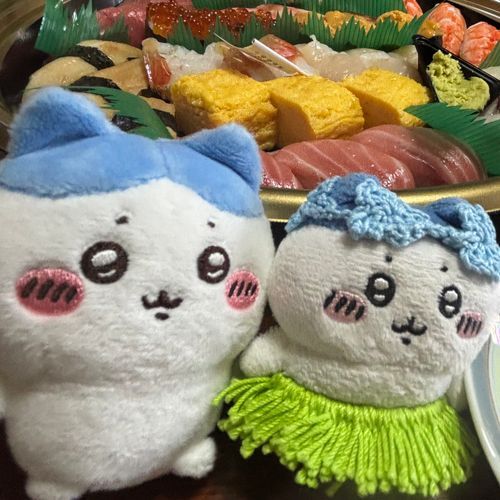 お盆でお寿司だよッ🍣サイコー❕
