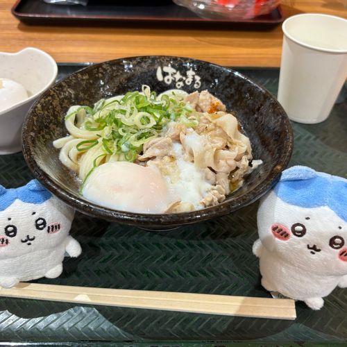 今日ははなまる食べた‼️うどん食べすぎ‼️