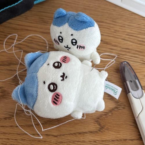 手術始めます🪡