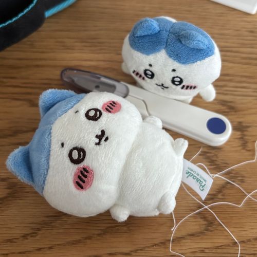 したんだッ❕成功ッ❕