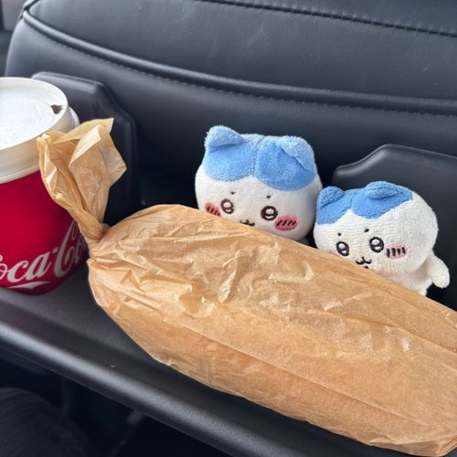 コストコ🌭食べるの❔
