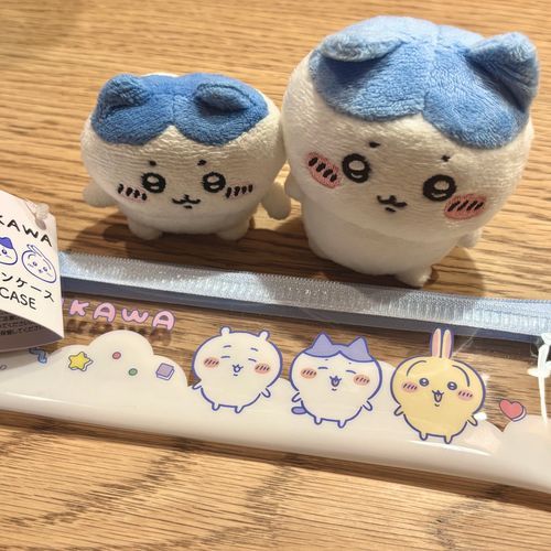 買ったんだッ❕ダイソーでッッ