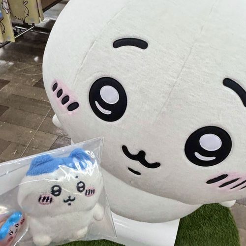 行ったんだッ‼️ポップアップ‼️