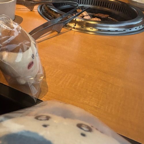 きんぐ❕遠くから見守る、、