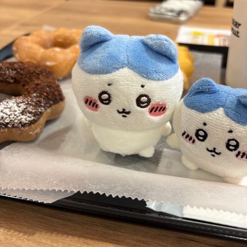 念願の食べほ行ったよ‼️
ドーナツ9個パイ2個でギブ😭
ミスド好きなだけってサイコー✊🏻