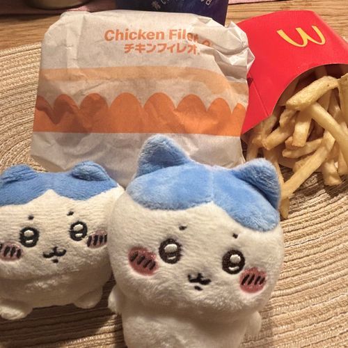 大大大好きなチキンフィレオ😭
推しは推せる時に推せ、、ってコト！？