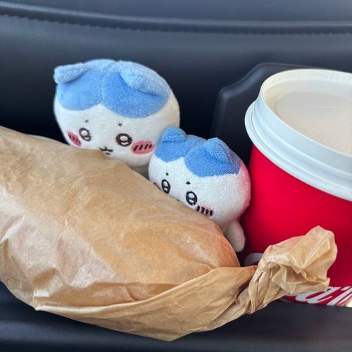 行ったの❓コストコッ‼️
フードコートに、とろたく巻きが出てたよッ
