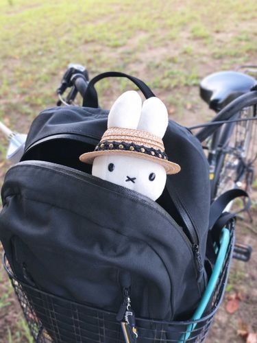 ずっと気になってたふわもこSNS、いつの間にかAndroid版がリリースされていたので始めてみたよというお試し投稿。機能もシンプルで分かりやすくて良